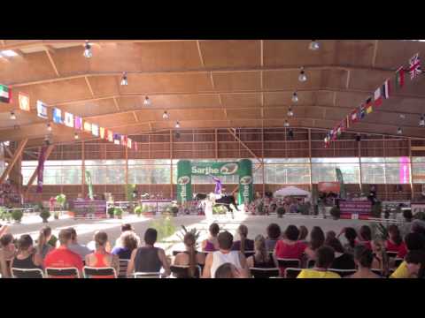 120817 WC Le Mans Lisa Wild Freestyle