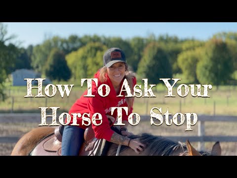 Lesson 2: How To Stop Your Horse