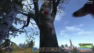 老人の模様【RUST】