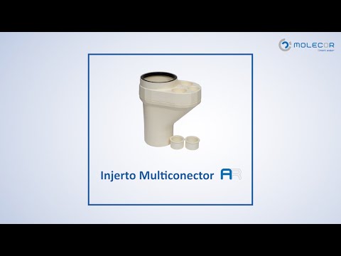 Injerto Multiconexión