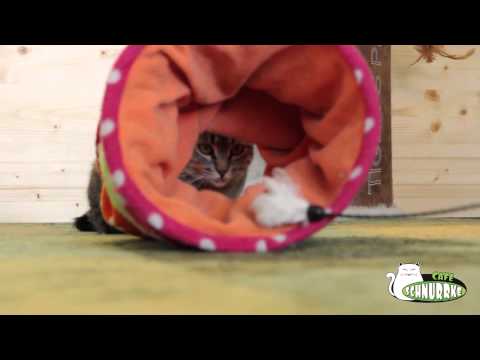 Cafe Schnurrke Imagefilm