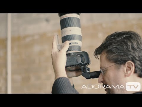 download lagu mp3 mp4 Seagull Angle Finder, download lagu Seagull Angle Finder gratis, unduh video klip Seagull Angle Finder