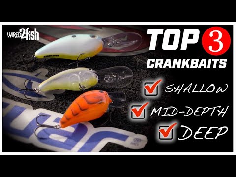 3 Crankbaits to Cover All Bass Fishing Situations