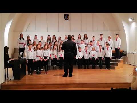 Zbor mlađeg uzrasta OŠ Ljudevita Modeca Križevci