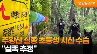 주왕산 실종 초등생 시신 수습…"실족 추정" / 연합뉴스TV (YonhapnewsTV)