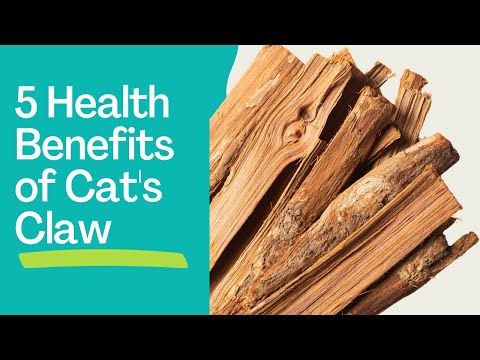 Cat's Claw Herb: 5 Powerful Health Benefits (And Potential Side Effects To Know)