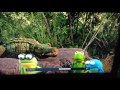 Closing To Kermit S Swamp Years 2003 DVD Australia