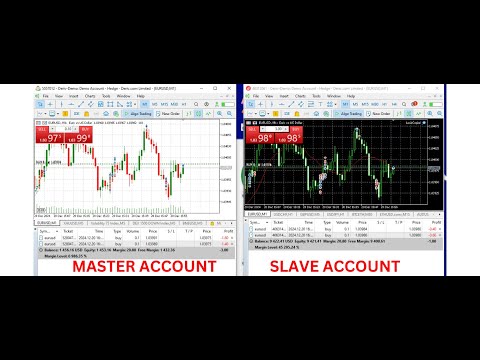 Video Local Trad Copie5