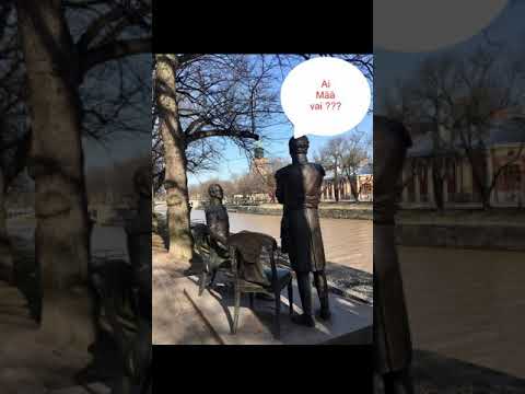 Tämmöttösbiisi Kevyt Jee