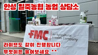 무엇이든 물어보세요^^ 오늘은 안성 일죽농협에서 농업 상담소를 오전에 운영합니다 ^^ 라이브도 동시 진행 이…