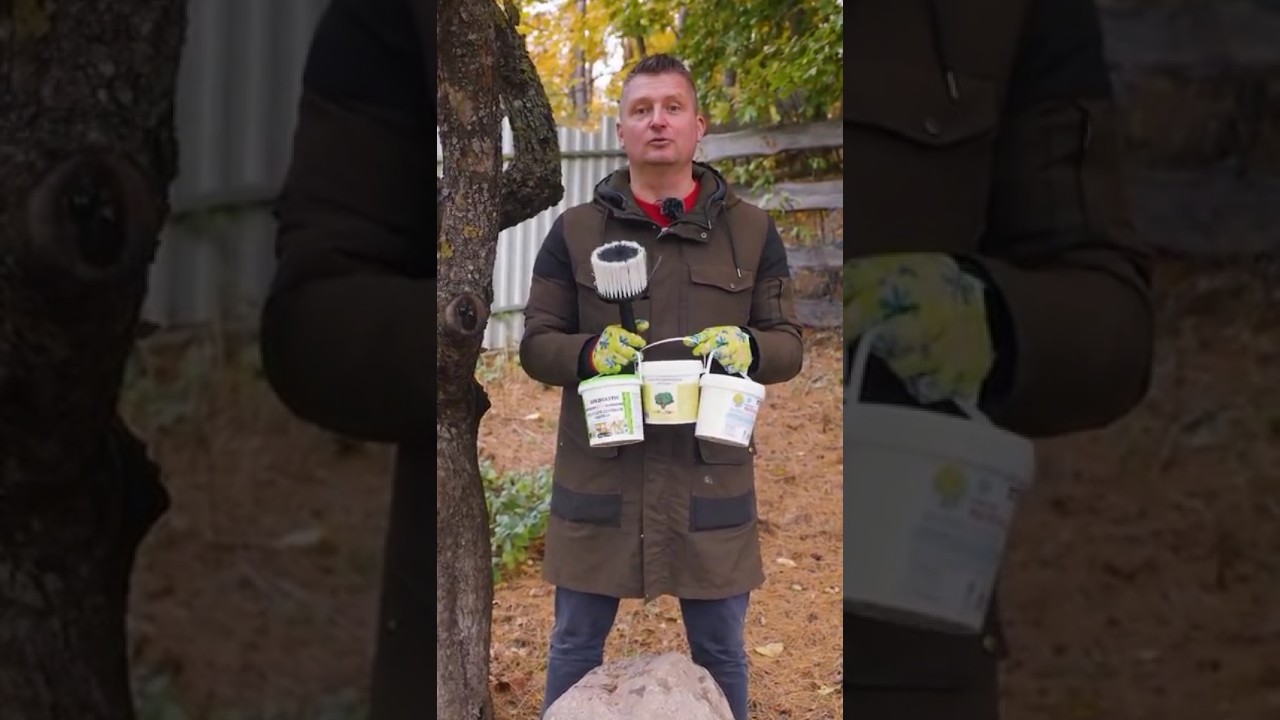 Лучшая краска для деревьев! Продержится целый год, а другие смоются дождем! Тест садовых красок