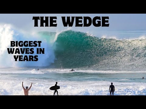 THE WEDGE | Biggest and Best Waves in Years | RAW