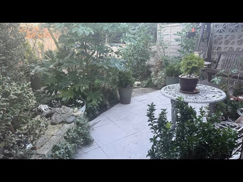 December garden tour 2025 