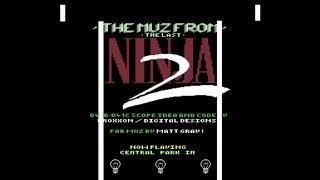 C64 Music - The Muz from the Last Ninja 2 [1993] by Digital Designs