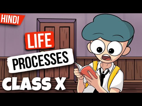Life processes class 10 full chapter ( animation ) - One shot