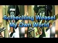 Screeching Weasel - My Own World (Guitar Cover)