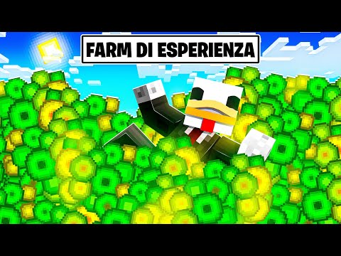 LA MIA NUOVA FARM DI ESPERIENZA SU MINECRAFT