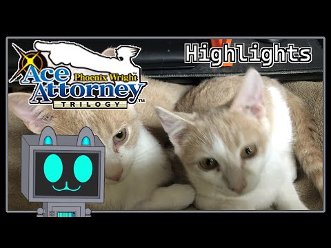 The Cat Witnessed Everything Highlights | Phoenix Wright with the Cats