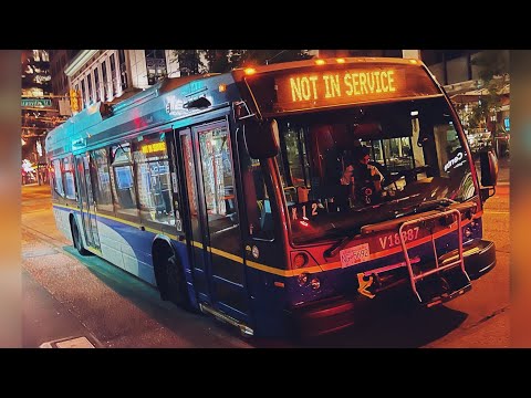 **Rare** Nova Bus LFS V18387 N8 Fraser Night Bus
