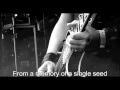 Amorphis - From The Heaven Of My Heart (sub)