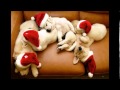 Ryan Farish - Silent Night