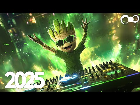 The Best EDM Music Mix 2025 🎧 Bass Boosted & Future Bass Music🎧EDM Remixes of Popular Songs