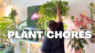 PLANT CHORES | Plant Styling and Hoya Repot