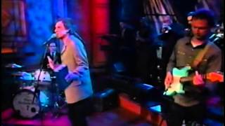 Ray Davies - London Song [live]