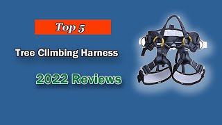 The Best Tree Climbing Harness (Top 5 Choices in 2025)