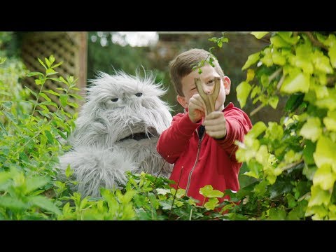 Tom Rosenthal - The Only Good Thing About Bad Bob (Official Music Video)