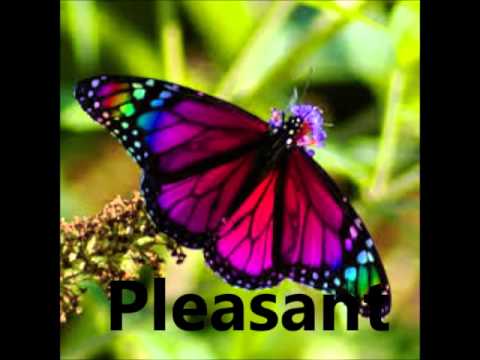 Meaning of Latifah project