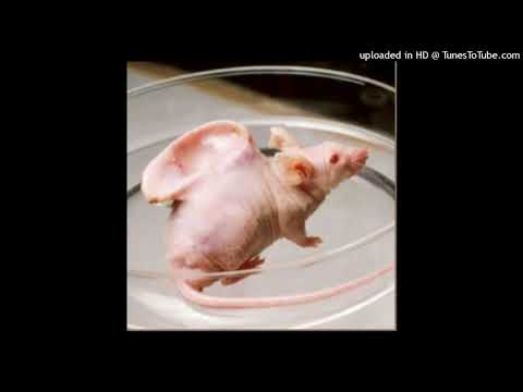 Jexer x RICO ROKE - monstruo