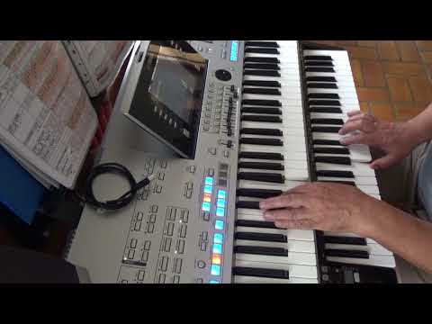 Il silenzio en Wonderland by night