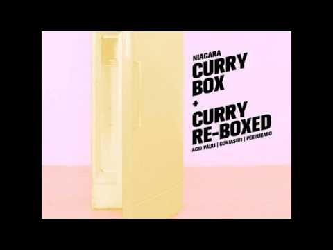 Niagara - Curry Box (Acid Pauli Remix) | Monotreme Records