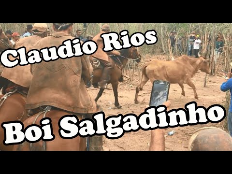 Música de Claudio Rios para o Boi Salgadinho