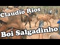 Música De Claudio Rios Para O Boi Salgadinho