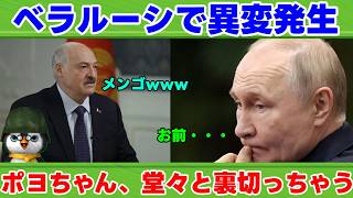 【ペンギン閣下】ポヨちゃん、ついにロシアと決別！？【国際情勢】