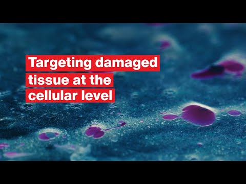 Tissue Imaging & Bioprinting thumbnail