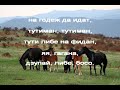 В ЧАСА ПО МУЗИКА - Чичовите конье - кавър на шопска народна песен