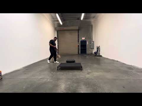 CactusK9Training video.