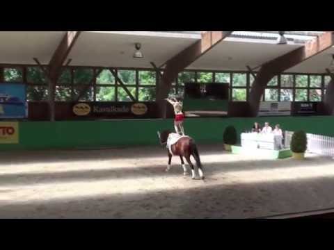 CVI Krumke - Julian Wilfling Kür