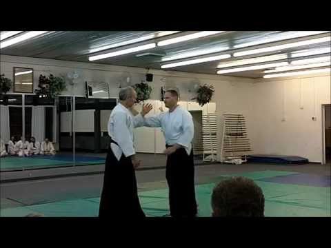 Tenkan Irimi: A Dynamic Defense