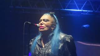 Loredana Bertè COSA TI ASPETTI DA ME 2.4.19 live Jesolo (Ve)