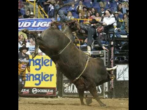 PBR 2004: Super Dave hangs up to Mudslinger