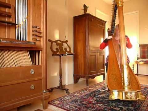 harpist Regina Ederveen plays Firedance by David Watkins on harp.MOV