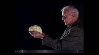 #7 Ian Deary: Ten Lothian Birth Cohort Commandments