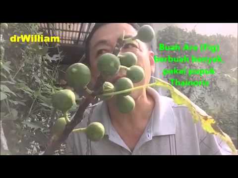 Diet pemisahan makanan ulasan kehilangan berat badan forum umpan balik Kolak buah buatan sendiri untuk menurunkan berat badan
