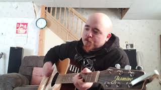 Timmy Bobby-Soul Bleed(damageplan acoustic cover)