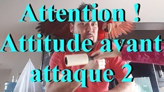 Attention! Attitude avant attaque 2.