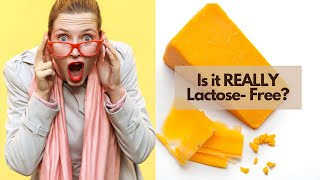 Are Lactose-Free Cheeses REALLY Lactose -Free???